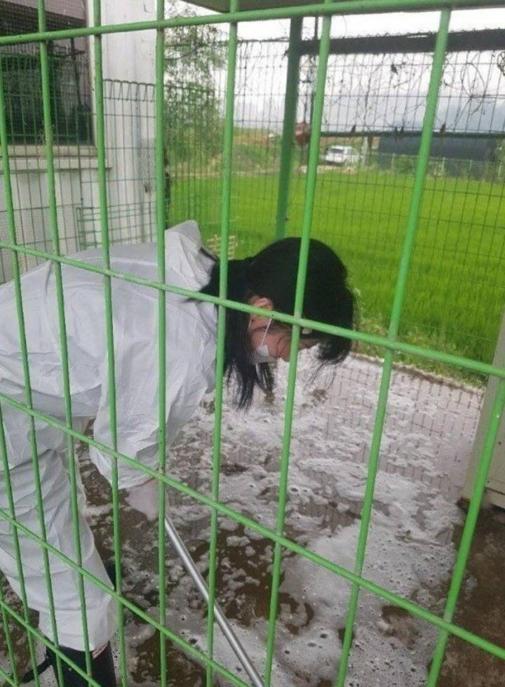 대한민국 연예인 원탑.jpg | 인스티즈