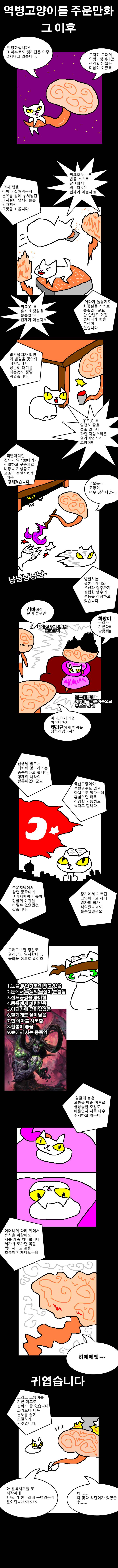  역병고양이를 주워서 휴재하는 만화 | 인스티즈