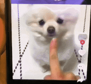 인스타와 현실 차이.gif | 인스티즈