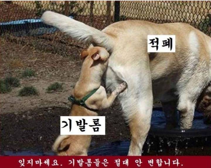 법무부장관의 수사 외압에 대해 알아보자 | 인스티즈