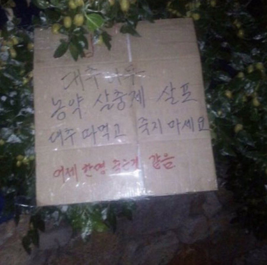 레전드 경고 메세지 | 인스티즈