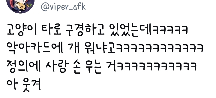 고잘알이 만든 고양이 타로 카드 | 인스티즈