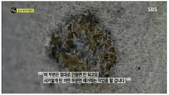 ??? : 아니 실내세차가 20만원이래. 개비싼거 아니야?? | 인스티즈