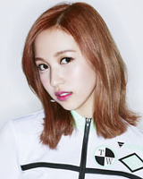 아이돌 성씨 분포표 (본인이 가장 좋아하는 성씨의 아이돌은 누구?) | 인스티즈