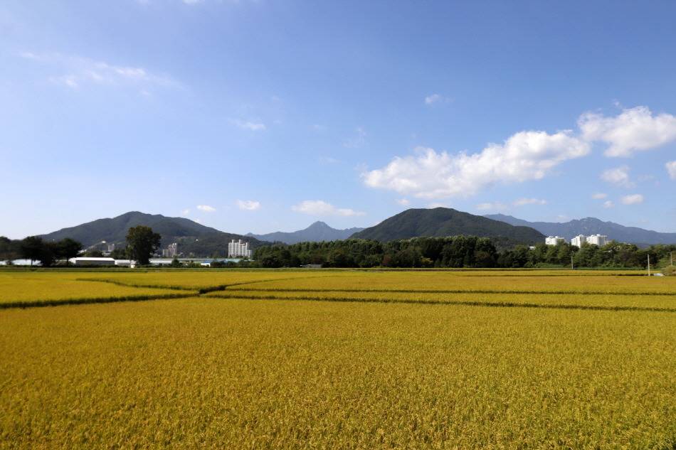 가을에 걷기 좋은 길 7선 | 인스티즈