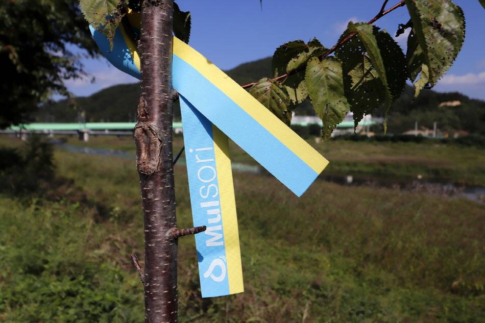 가을에 걷기 좋은 길 7선 | 인스티즈