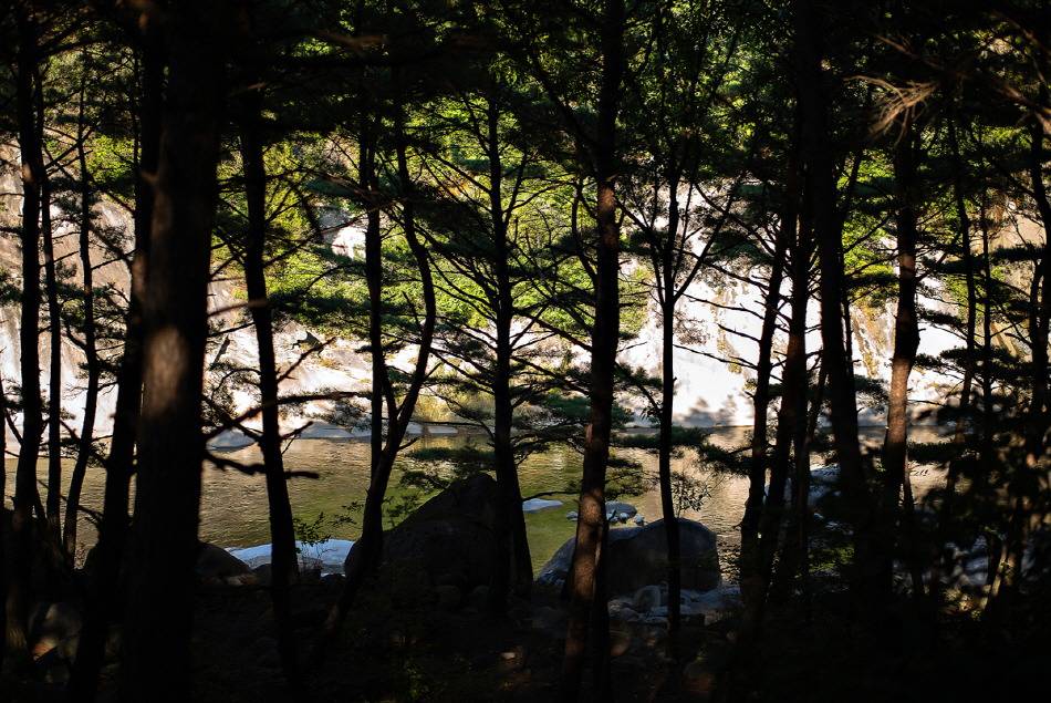 가을에 걷기 좋은 길 7선 | 인스티즈