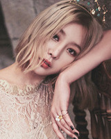 아이돌 성씨 분포표 (본인이 가장 좋아하는 성씨의 아이돌은 누구?) | 인스티즈