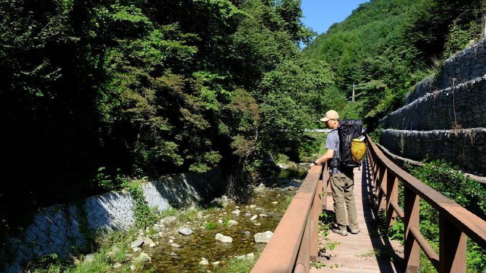 가을에 걷기 좋은 길 7선 | 인스티즈