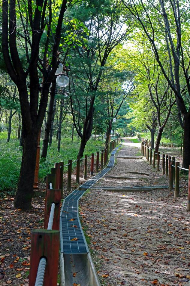 가을에 걷기 좋은 길 7선 | 인스티즈