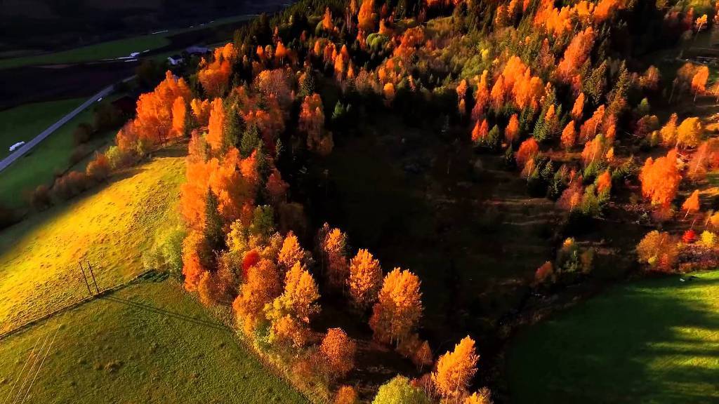 노르웨이의 가을 풍경 | 인스티즈