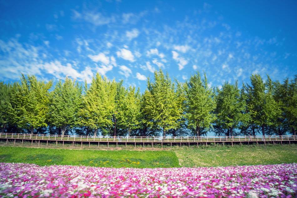 가을에 걷기 좋은 길 7선 | 인스티즈