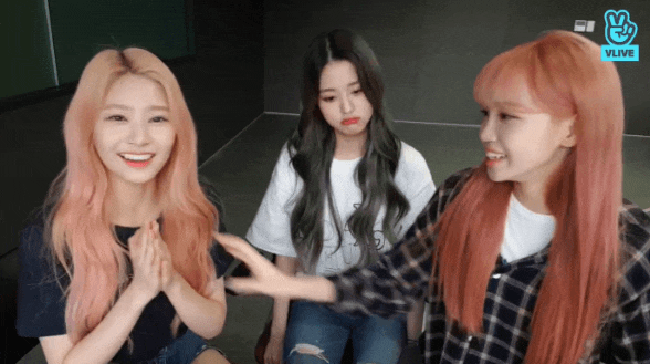 잔망과 쌈아치 그 사이 어딘가의 쌈무 아이즈원 김채원.jpgif | 인스티즈