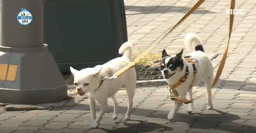[나혼자산다] 3보 1인사 하는 노브레인 이성우.jpg | 인스티즈