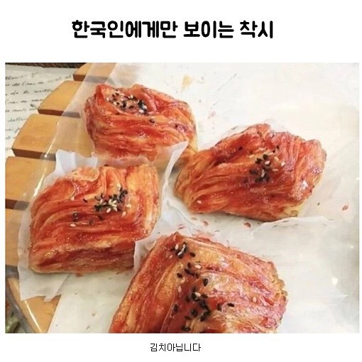 한국인에게만 보이는 착시 | 인스티즈