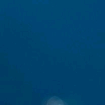 아이유 닮은 꼴로 유명한 배우 | 인스티즈