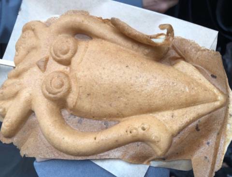 제주도에서만 파는 빵.jpg | 인스티즈