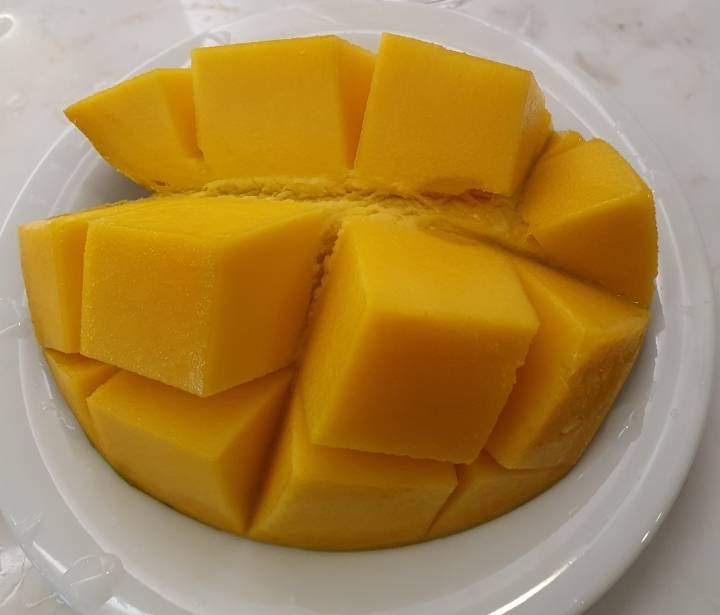 다낭과 호이안 여행 | 인스티즈