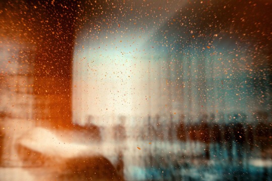  그늘은 나무의 생각이다 | 인스티즈