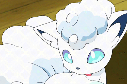 자신이 가장 귀여워 하는 포켓몬은? | 인스티즈