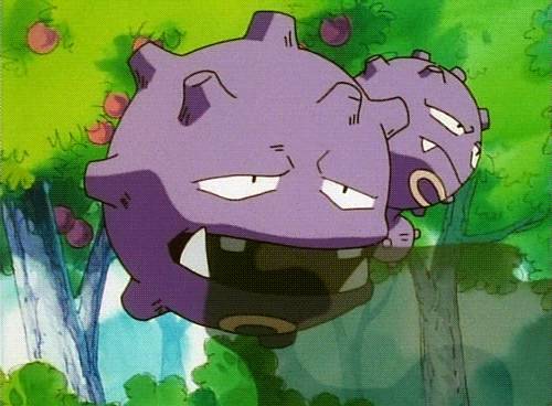 자신이 가장 귀여워 하는 포켓몬은? | 인스티즈