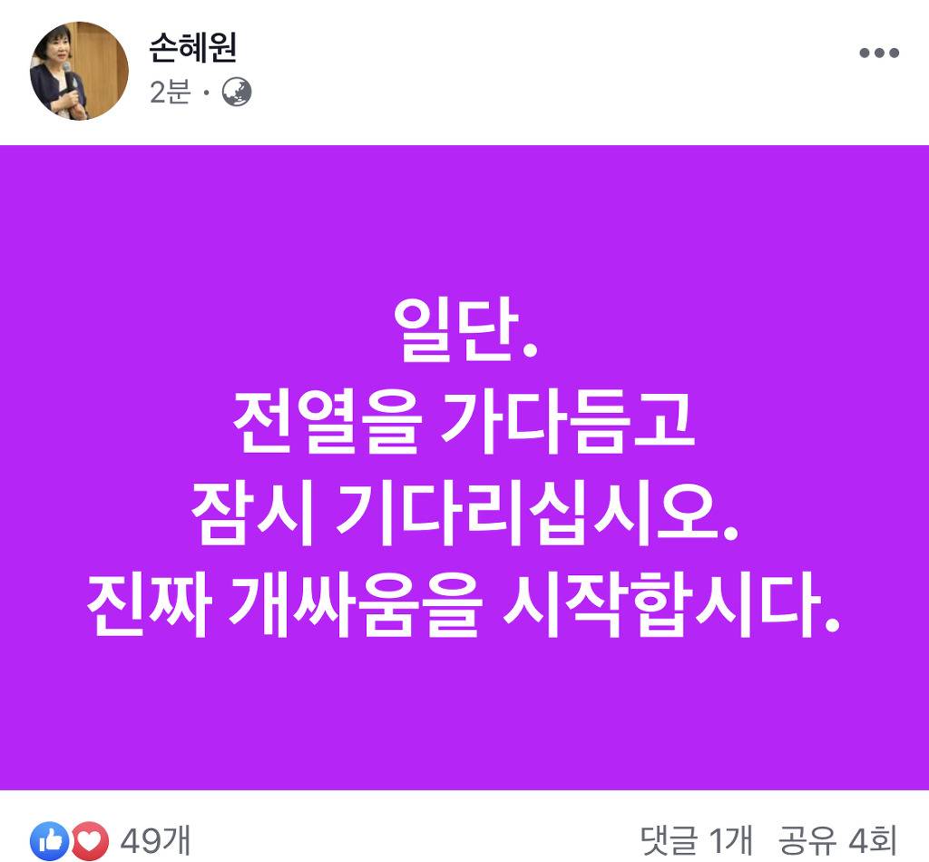 전열을 가다듬고 진짜 개싸움을 시작합시다 (feat. 손혜원) | 인스티즈