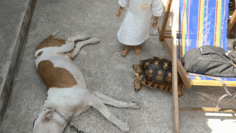 역대급 스릴러물 | 인스티즈