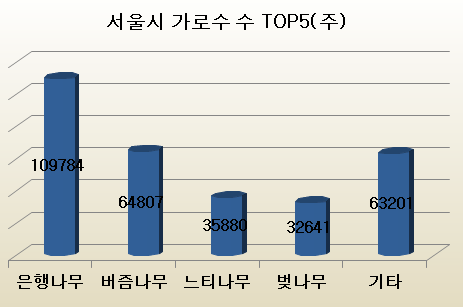 서울시 나무 종류별 가로수 수 TOP 5.jpg | 인스티즈