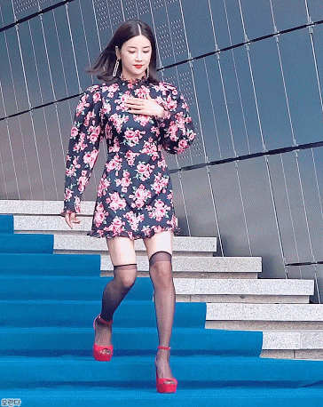 오늘 서울패션위크 에이핑크 초롱.gif | 인스티즈