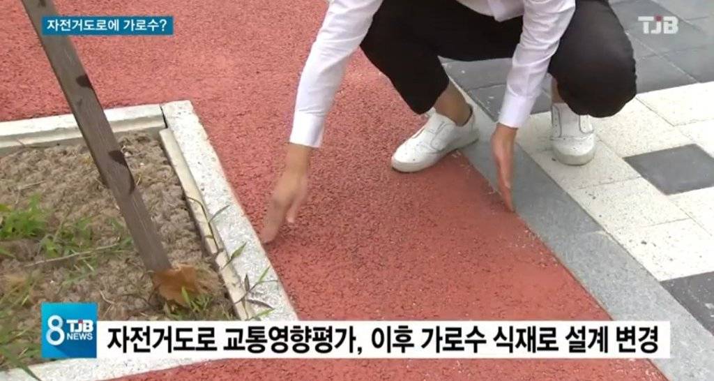 대전의 기형적인 자전거 도로 | 인스티즈