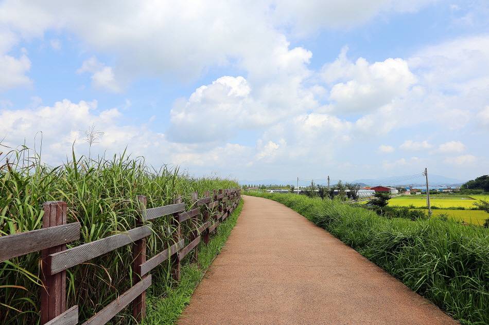 가을에 걷기 좋은 길 7선 | 인스티즈
