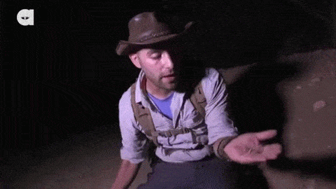 고통도 없고 겁도없는 디스커버리 동물 전문가.jpgif | 인스티즈