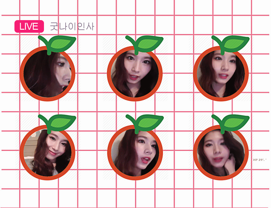 분위기있는 사나.gif | 인스티즈