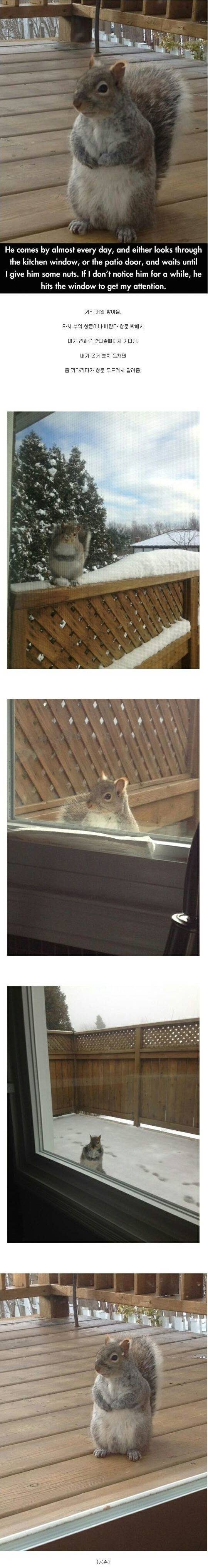 공손한 다람쥐.JPG | 인스티즈