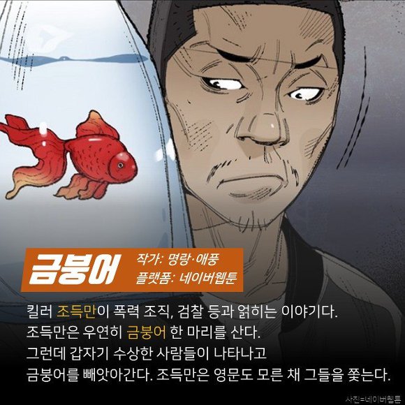 오지마 떡밥 묻어...jpg (네이버 웹툰) | 인스티즈