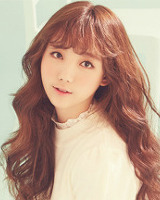 아이돌 성씨 분포표 (본인이 가장 좋아하는 성씨의 아이돌은 누구?) | 인스티즈