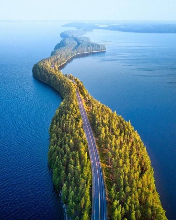 핀란드 자연다리.jpg | 인스티즈