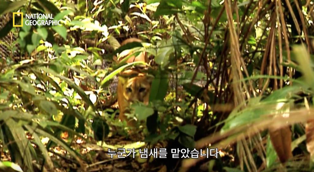 나무늘보 미워하지 않았으면 좋겠는 이유...jpg | 인스티즈