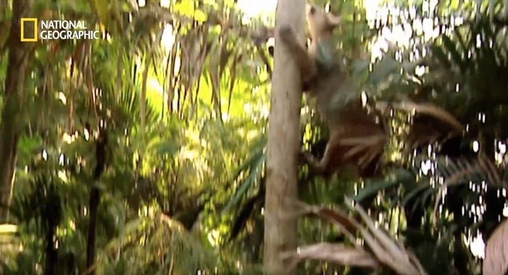 나무늘보 미워하지 않았으면 좋겠는 이유...jpg | 인스티즈