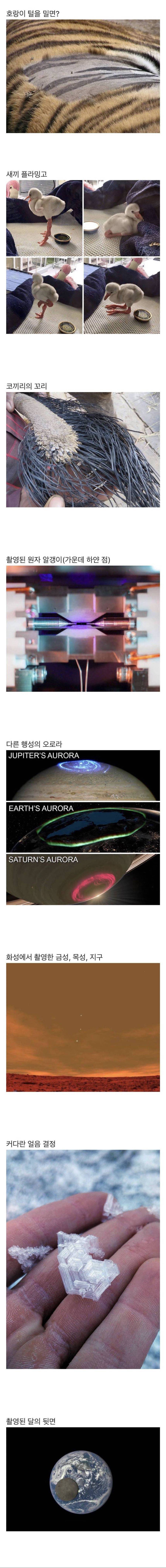 약스압) 평소엔 보기 힘든 사진들.jpg | 인스티즈