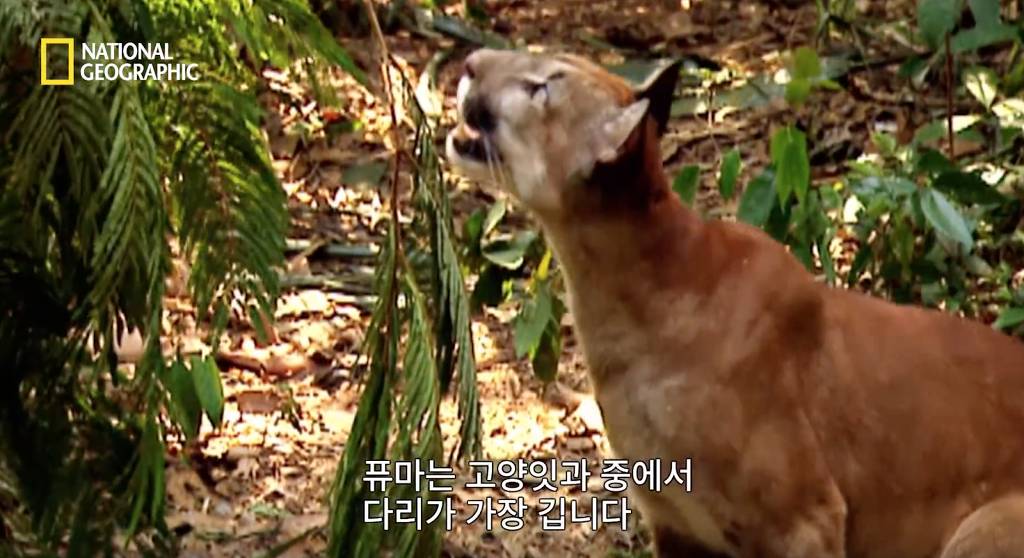 나무늘보 미워하지 않았으면 좋겠는 이유...jpg | 인스티즈