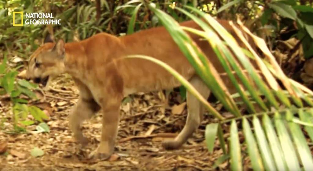 나무늘보 미워하지 않았으면 좋겠는 이유...jpg | 인스티즈