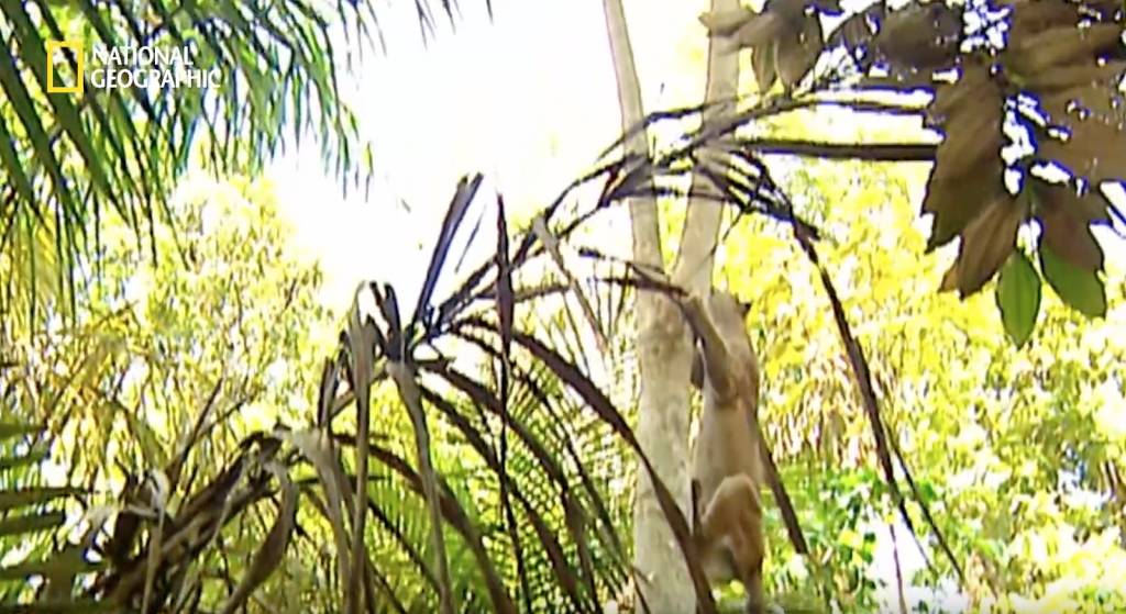 나무늘보 미워하지 않았으면 좋겠는 이유...jpg | 인스티즈