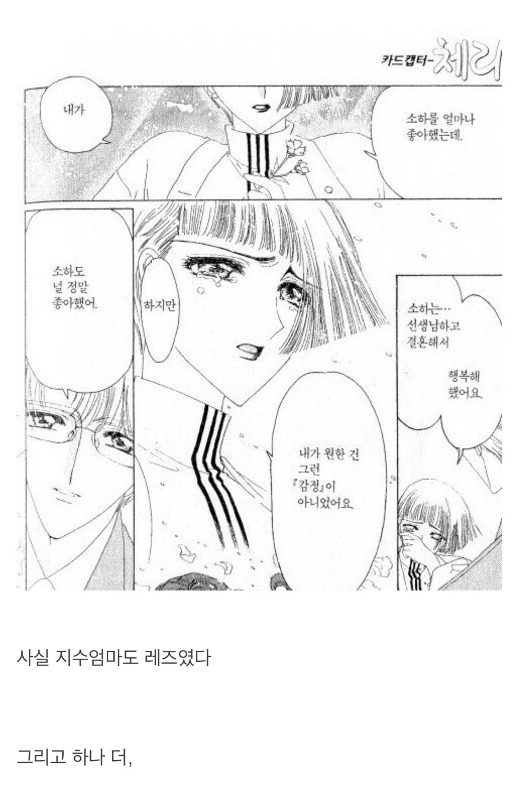 알고보니 진정한 PC였던 만화 - 카드캡쳐 체리.jpg | 인스티즈