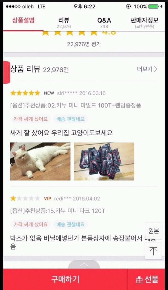 고양이 키우는 집사들 특징.jpg | 인스티즈