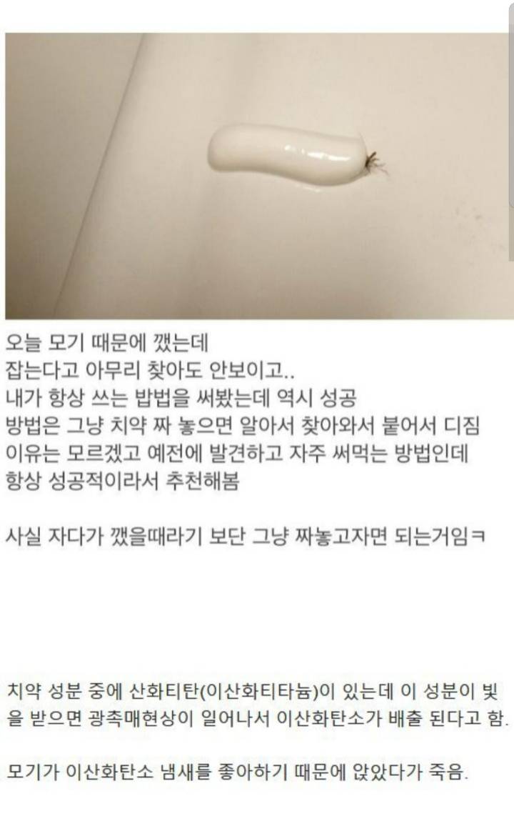 밤에 모기잡는 팁? | 인스티즈