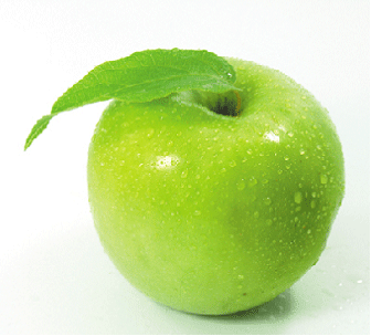  나뭇잎이 녹색인 이유 | 인스티즈