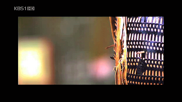 고구려 기술력의 위엄 | 인스티즈