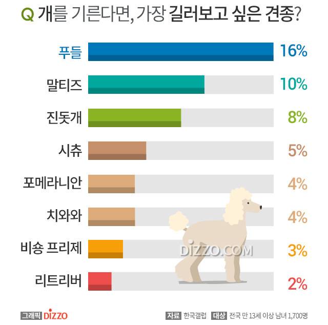 한국인이 가장 좋아하는 반려동물 종류.jpg | 인스티즈