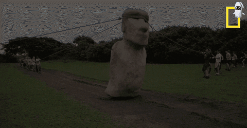 눈가리고 묶여서 버둥거리는 리얼돌 | 인스티즈